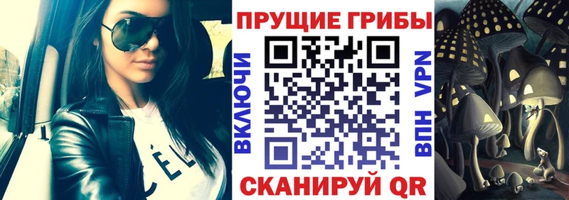 Галлюциногенные грибы MAGIC MUSHROOMS  Купить закладки  Выборг 